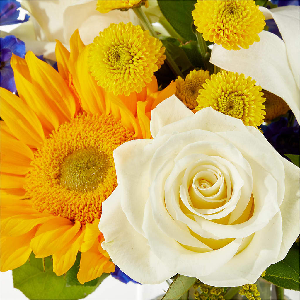 Stargazing Bouquet – ADAM & EVE FLOWERS & BALLOONS, Lafayette IN