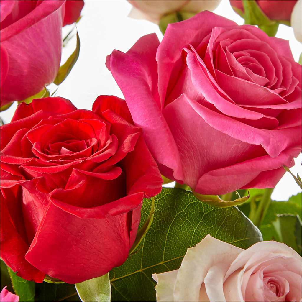 Charming Rose Bouquet – ADAM & EVE FLOWERS & BALLOONS, Lafayette IN