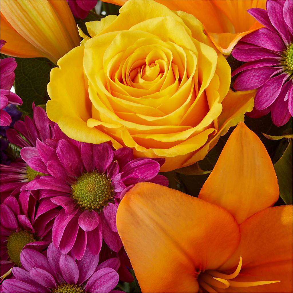 Colorful Visions Bouquet – ADAM & EVE FLOWERS & BALLOONS, Lafayette IN