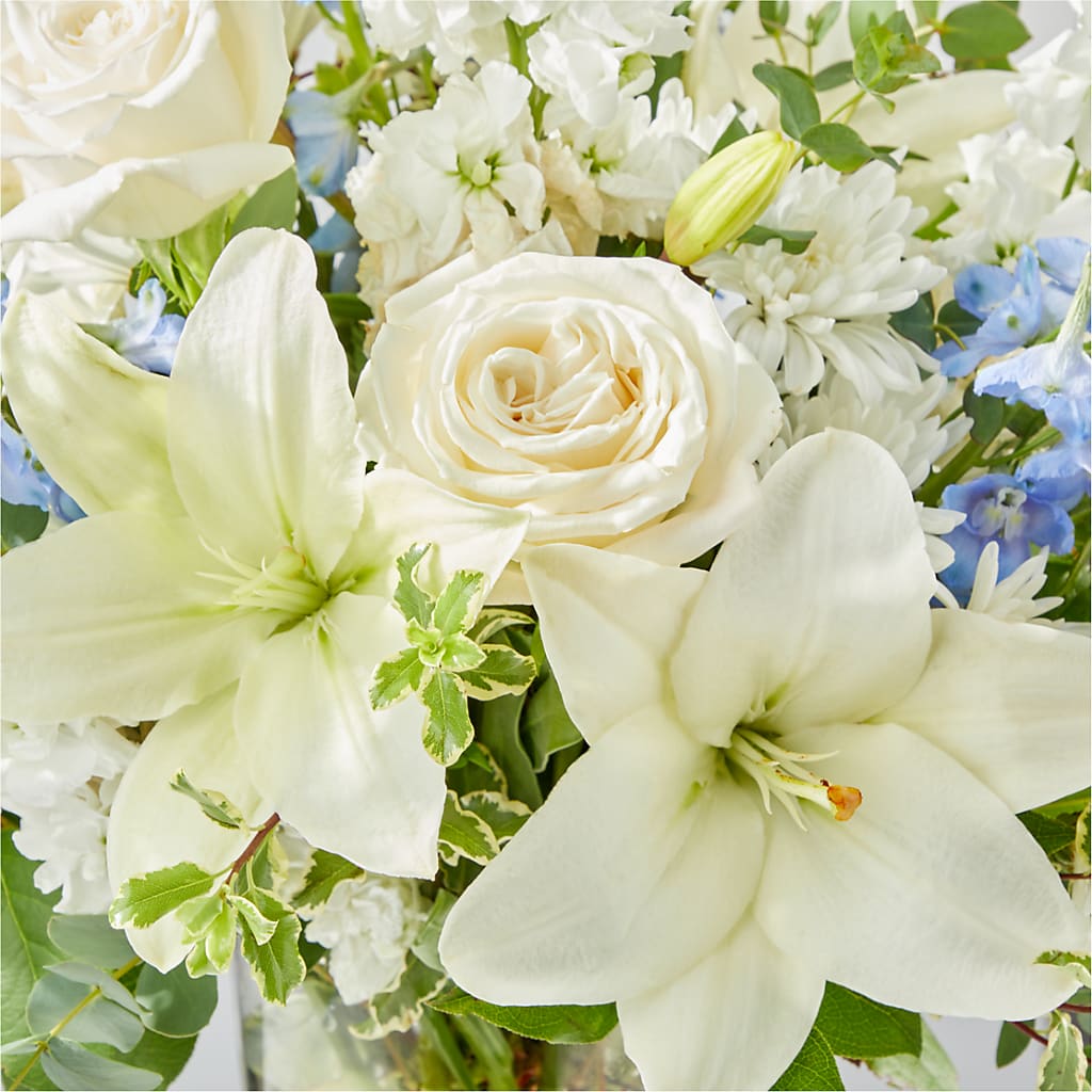 Peace of Mind Bouquet – ADAM & EVE FLOWERS & BALLOONS, Lafayette IN