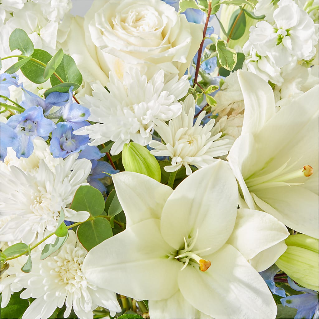 Peace of Mind Bouquet – ADAM & EVE FLOWERS & BALLOONS, Lafayette IN
