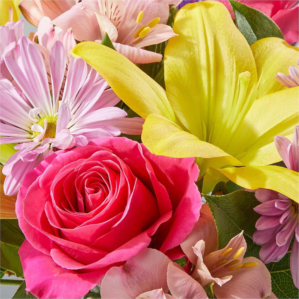 Sprinkles Bouquet – ADAM & EVE FLOWERS & BALLOONS, Lafayette IN