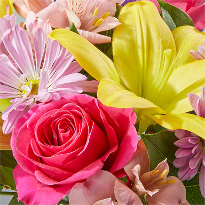 Sprinkles Bouquet – ADAM & EVE FLOWERS & BALLOONS, Lafayette IN