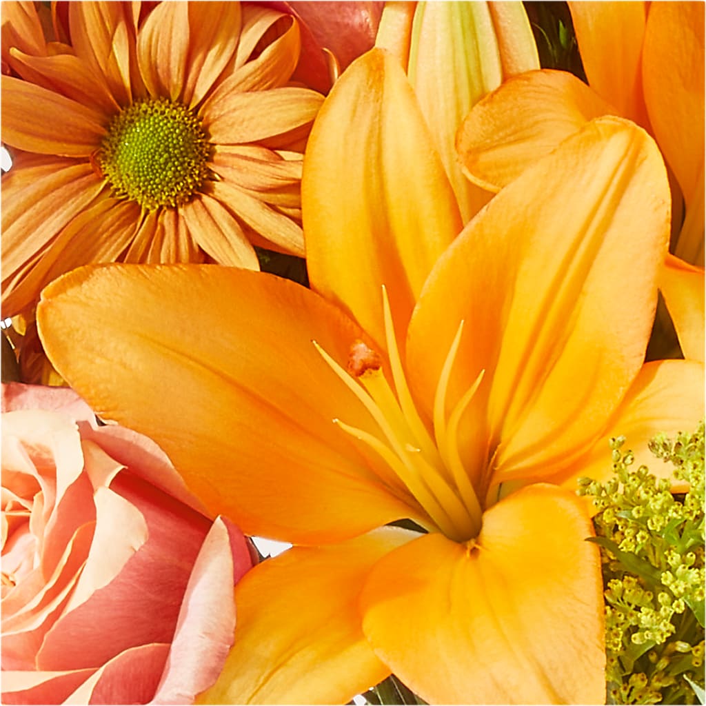 Harvest Hayride Bouquet – ADAM & EVE FLOWERS & BALLOONS, Lafayette IN