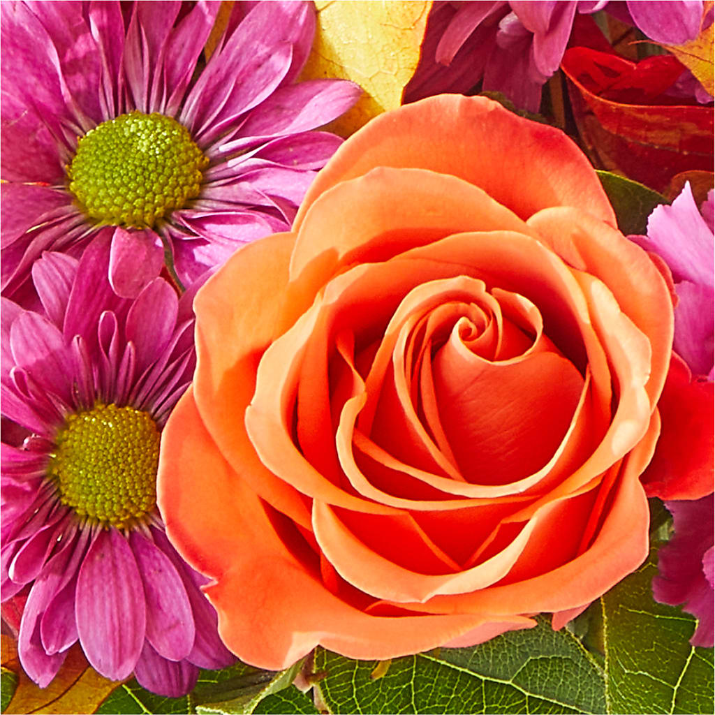 Mum's the Word Bouquet – ADAM & EVE FLOWERS & BALLOONS, Lafayette IN