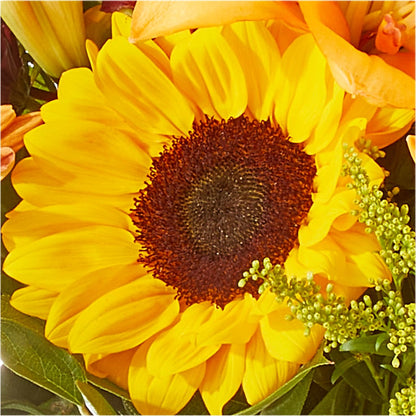 Seasons Change Bouquet – ADAM & EVE FLOWERS & BALLOONS, Lafayette IN