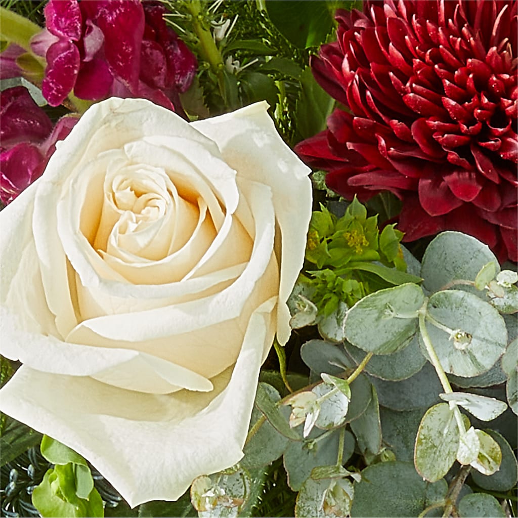 Cranberry Fizz Bouquet – ADAM & EVE FLOWERS & BALLOONS, Lafayette IN