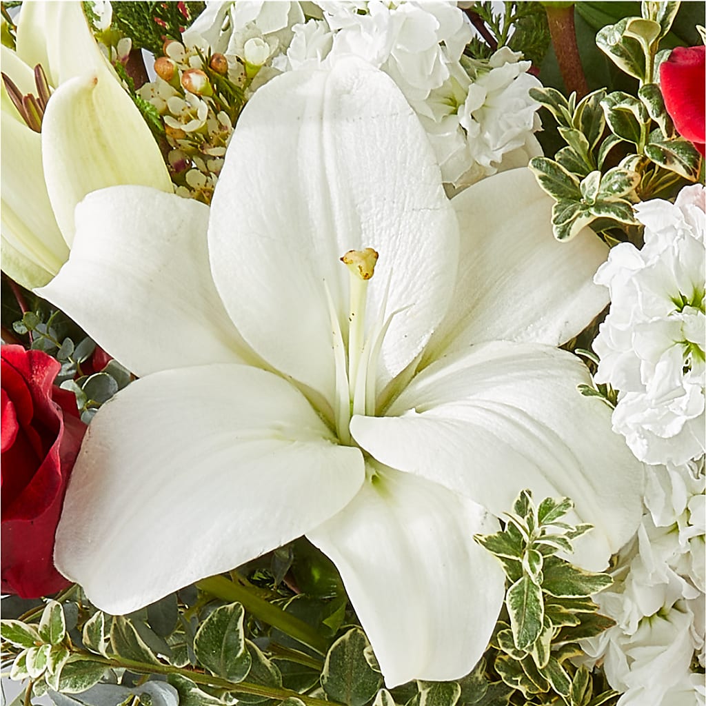 Twinkle Lights Bouquet – ADAM & EVE FLOWERS & BALLOONS, Lafayette IN