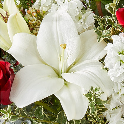 Twinkle Lights Bouquet – ADAM & EVE FLOWERS & BALLOONS, Lafayette IN