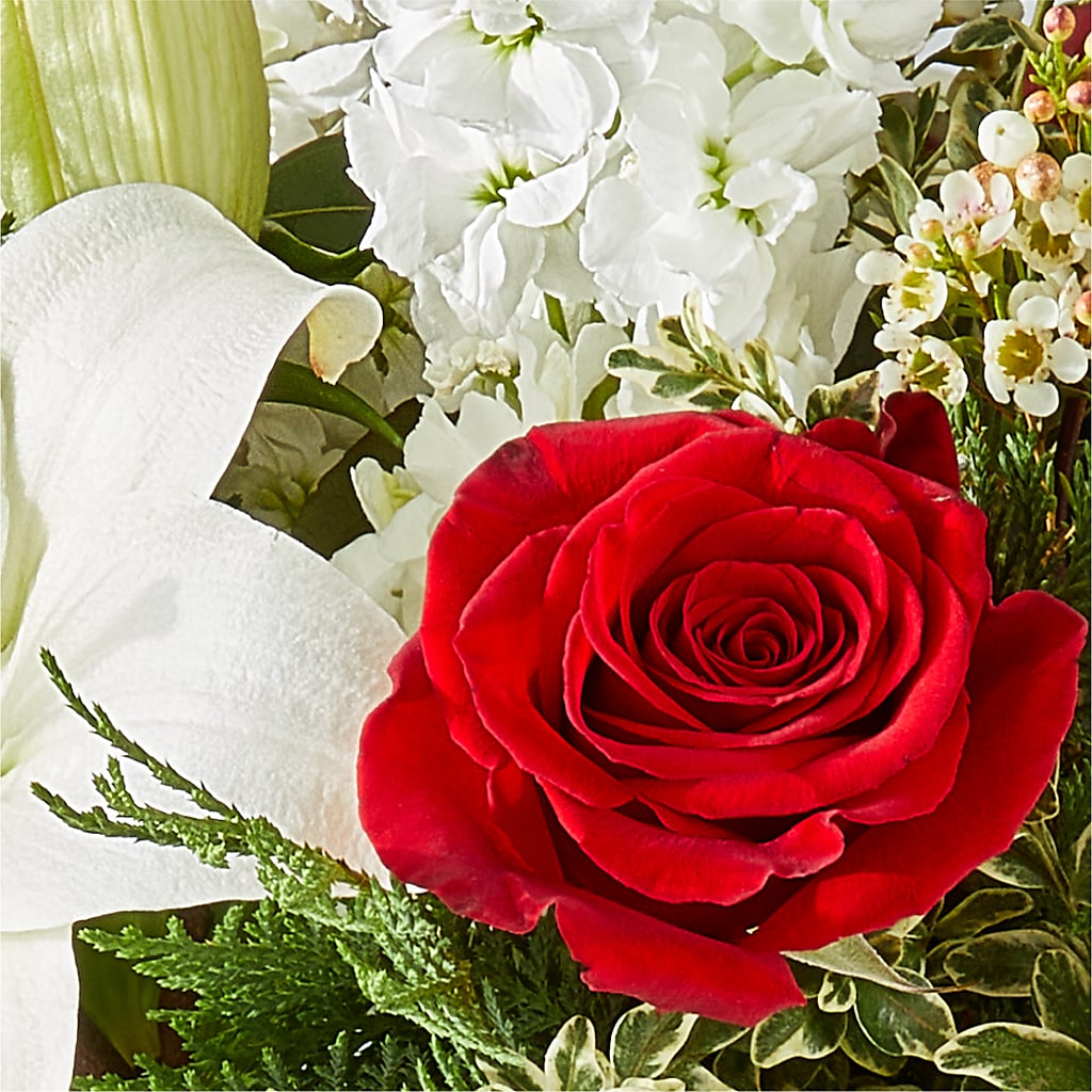 Twinkle Lights Bouquet – ADAM & EVE FLOWERS & BALLOONS, Lafayette IN