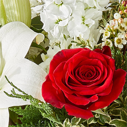 Twinkle Lights Bouquet – ADAM & EVE FLOWERS & BALLOONS, Lafayette IN