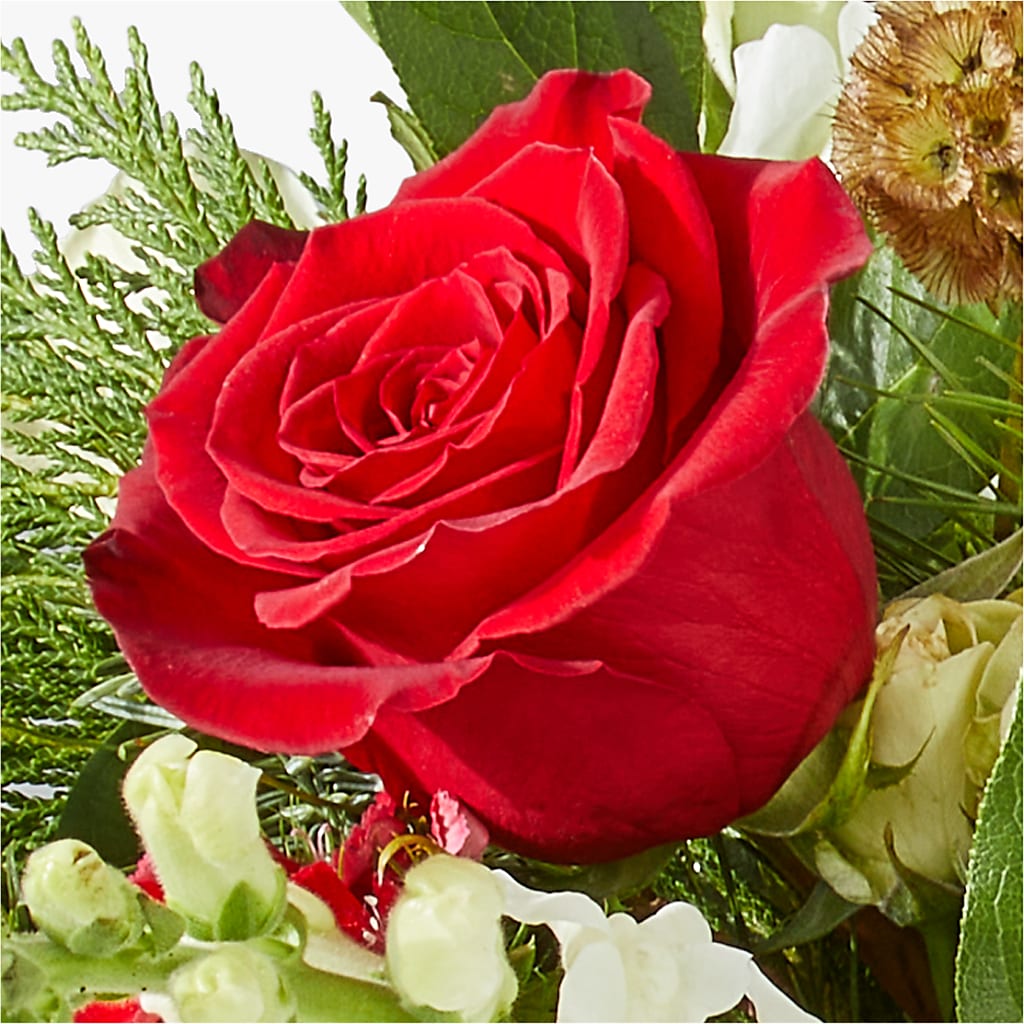 Deck the Halls Bouquet – ADAM & EVE FLOWERS & BALLOONS, Lafayette IN