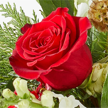 Deck the Halls Bouquet – ADAM & EVE FLOWERS & BALLOONS, Lafayette IN