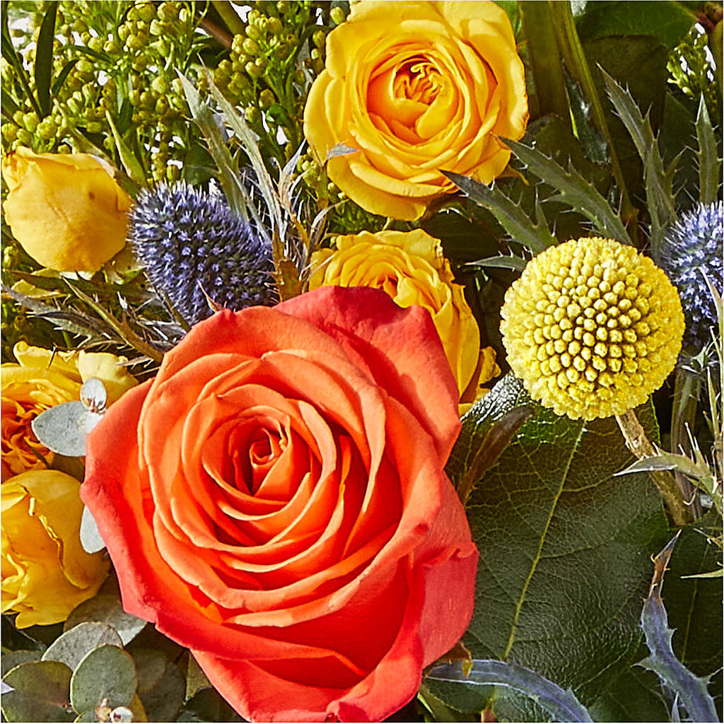 Disco Bouquet – ADAM & EVE FLOWERS & BALLOONS, Lafayette IN
