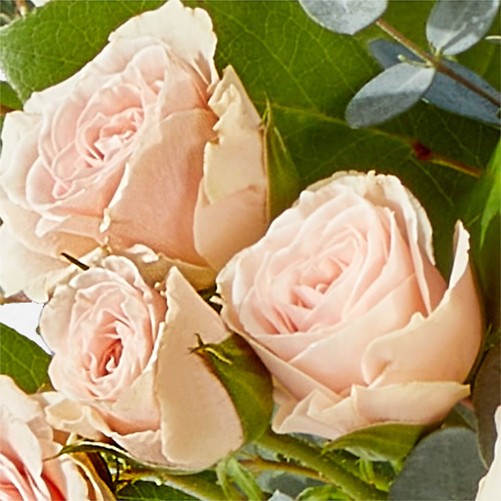 Inspired Bouquet – ADAM & EVE FLOWERS & BALLOONS, Lafayette IN