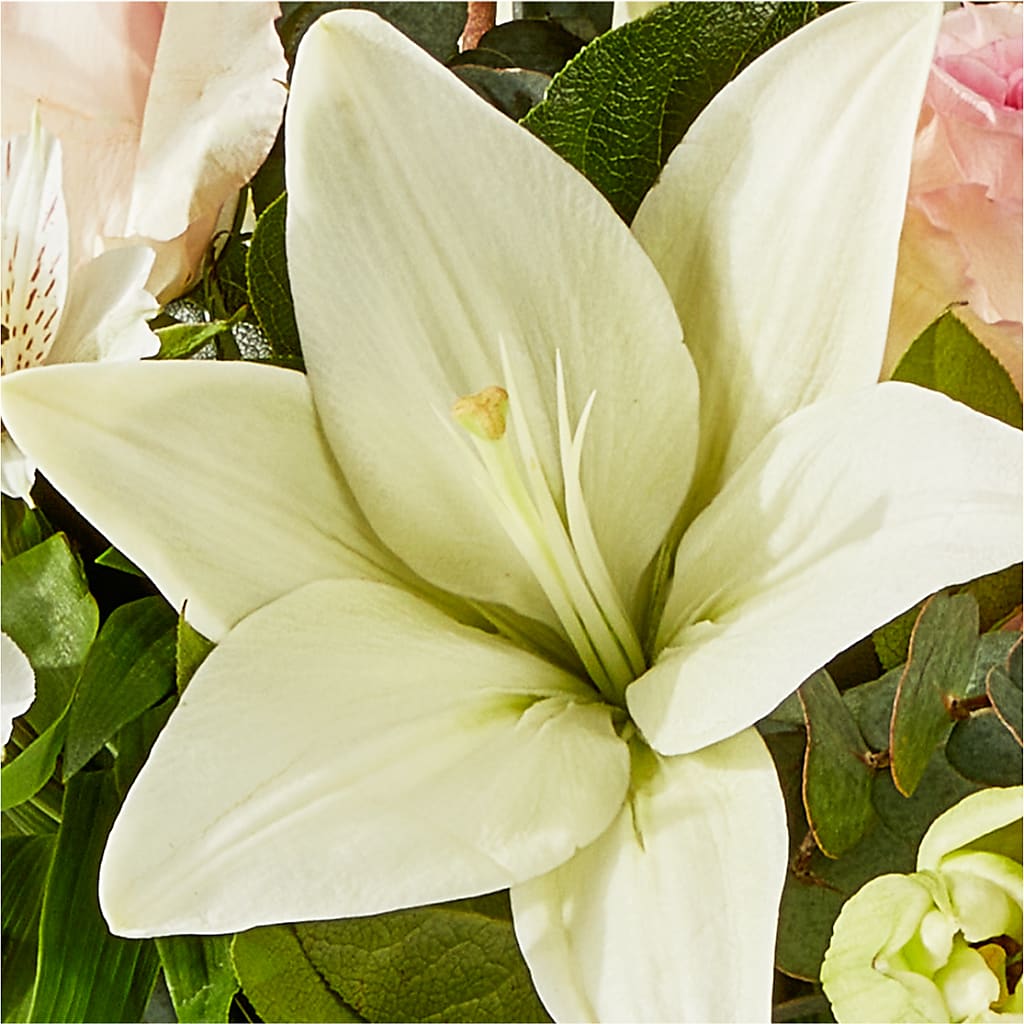 Ballet Slippers Bouquet – ADAM & EVE FLOWERS & BALLOONS, Lafayette IN
