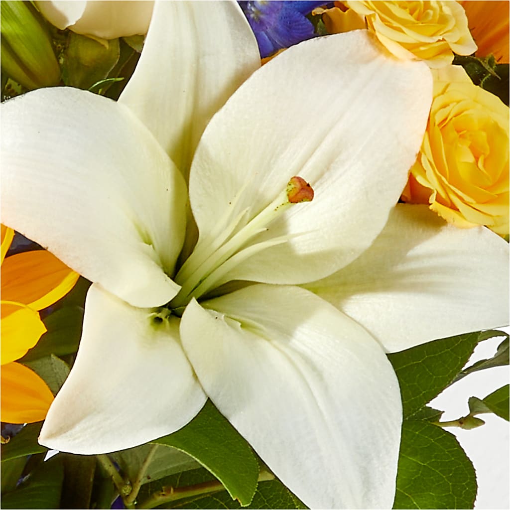 Wonderfully Sunny Bouquet – ADAM & EVE FLOWERS & BALLOONS, Lafayette IN