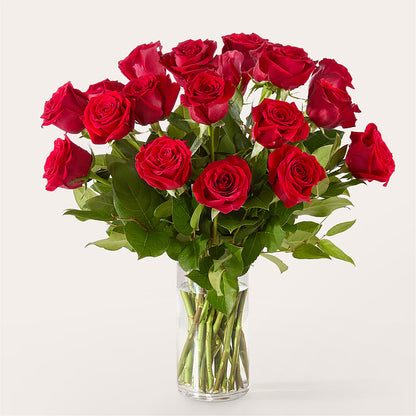 The One Red Rose Bouquet – ADAM & EVE FLOWERS & BALLOONS, Lafayette IN