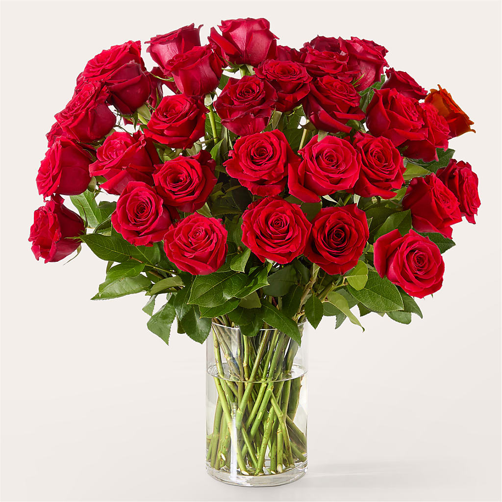 The One Red Rose Bouquet – ADAM & EVE FLOWERS & BALLOONS, Lafayette IN