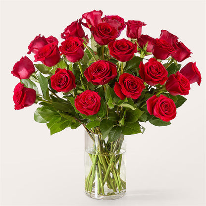 The One Red Rose Bouquet – ADAM & EVE FLOWERS & BALLOONS, Lafayette IN