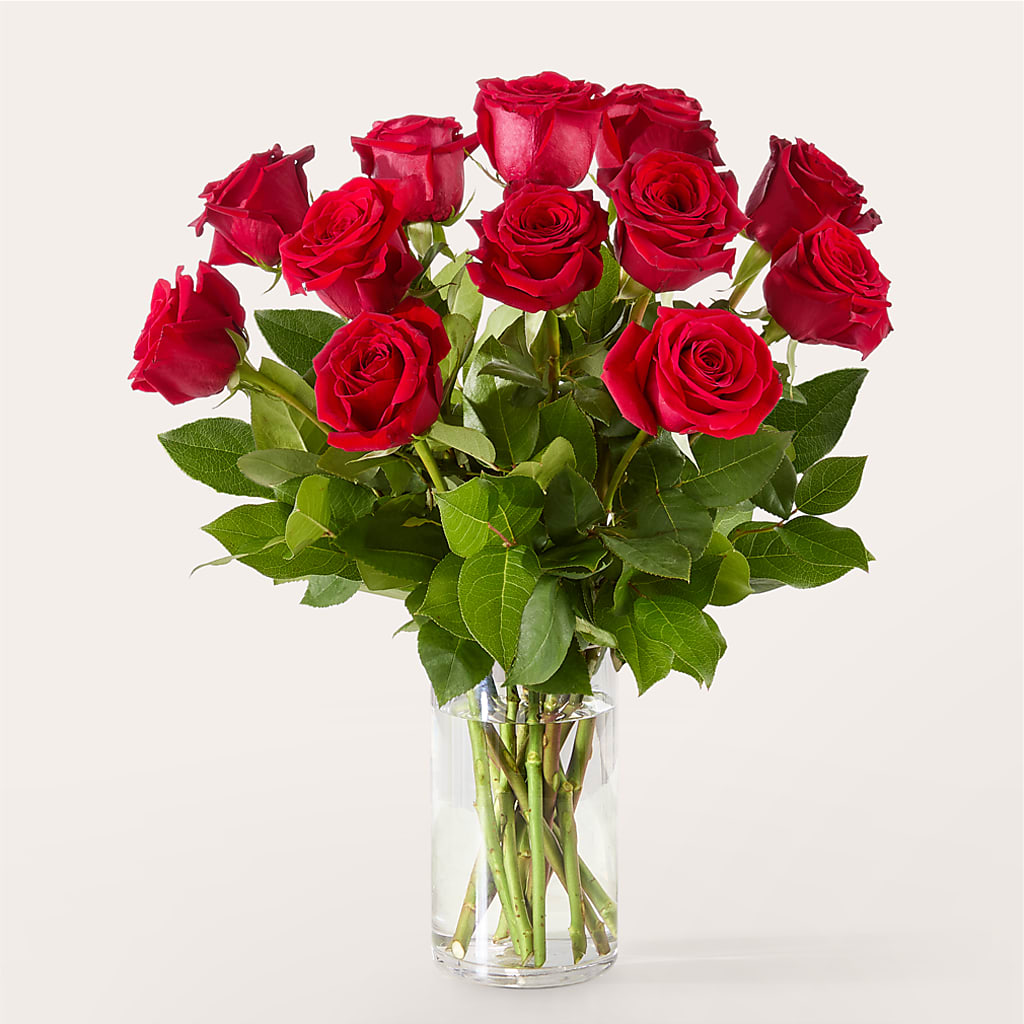 The One Red Rose Bouquet – ADAM & EVE FLOWERS & BALLOONS, Lafayette IN