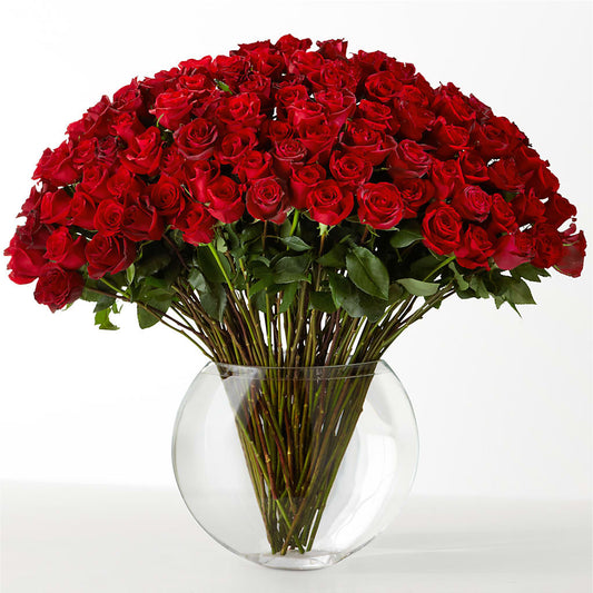 The Idealist – ADAM & EVE FLOWERS & BALLOONS, Lafayette IN