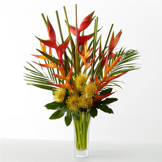 The Drama – ADAM & EVE FLOWERS & BALLOONS, Lafayette IN