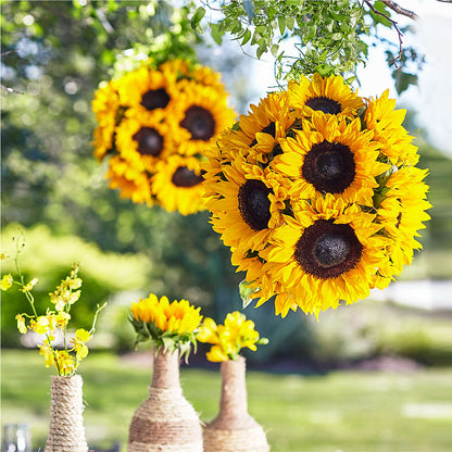 Sublime Garden Hanging Arrangement – ADAM & EVE FLOWERS & BALLOONS, Lafayette IN