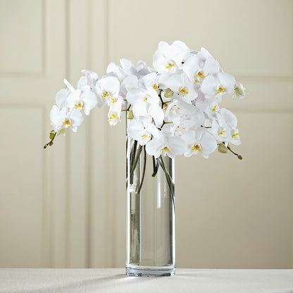 White Phalaenopsis Bouquet – ADAM & EVE FLOWERS & BALLOONS, Lafayette IN