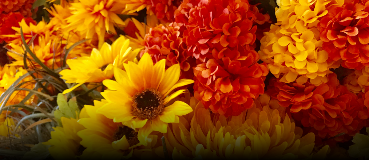 homepageBannerMetadata_Image_1792599021169.png